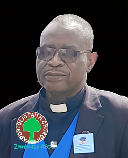 Rev. DT Ndlela(current)